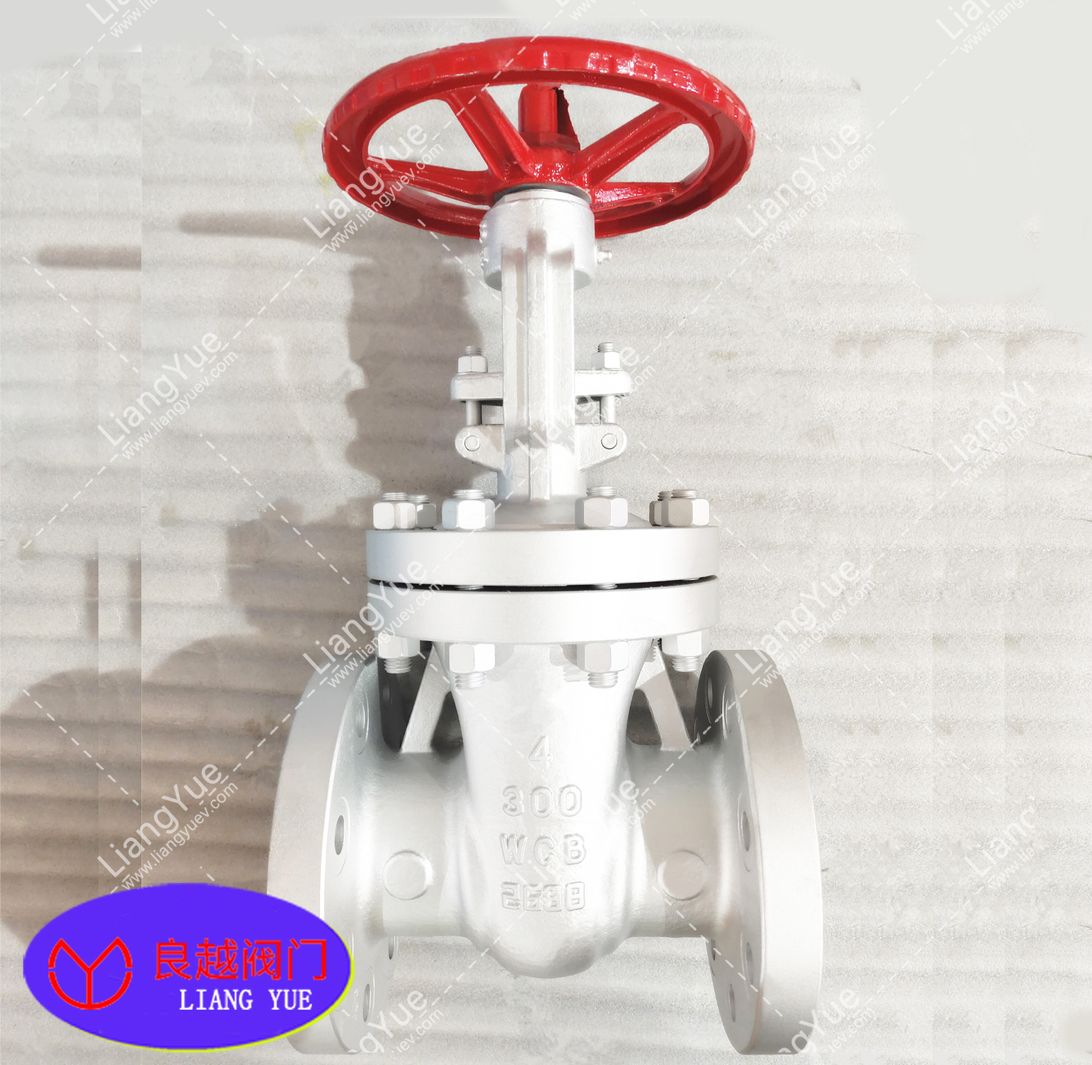 (bio)lyCLASS300